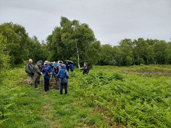 Fenns, Whixall and Bettisfield Mosses